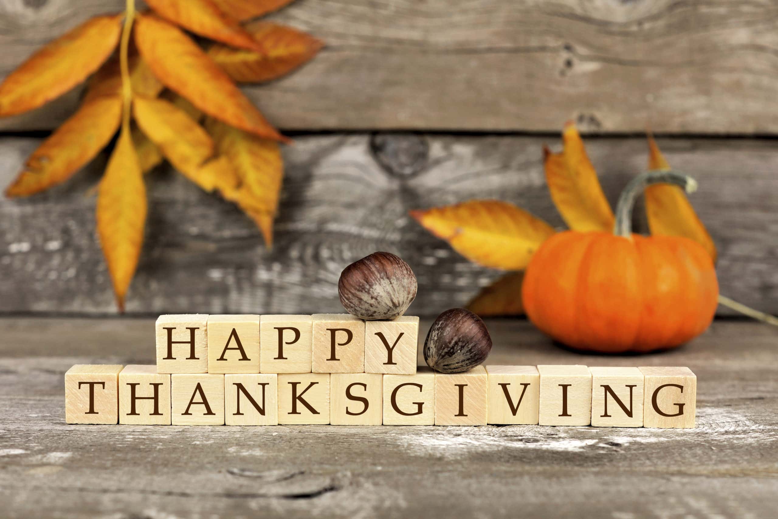 thanksgiving day