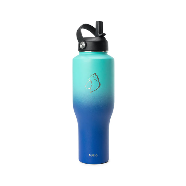 stainless steel water bottles with straw