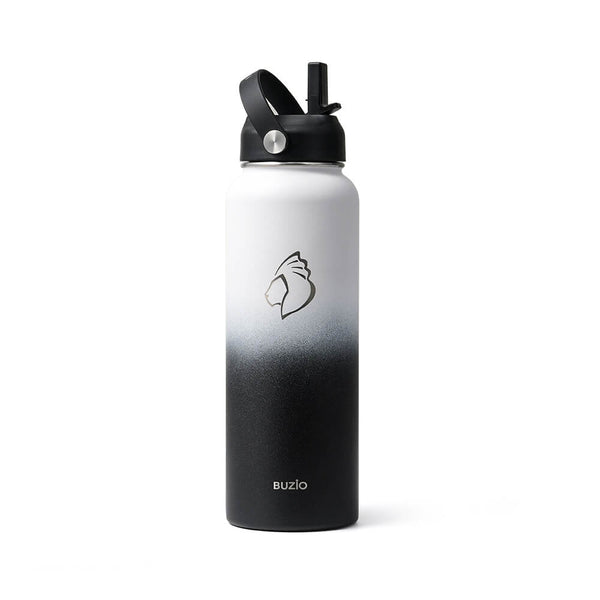 best metal water bottle 